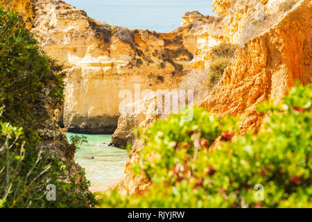 Blick durch die Bäume auf die sonnenbeschienene Felswand, Alvor, Algarve, Portugal, Europa Stockfoto