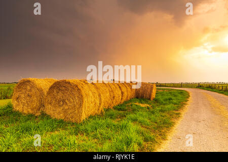 Dramatische Himmel über Ackerland. Rainstorm cloudscape mit Sonnenlicht. Stockfoto