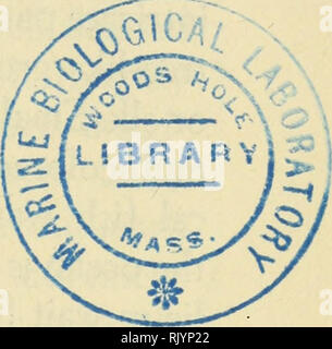 . Atlantic reef Korallen, ein Handbuch der gemeinsamen Riff und die Korallen im flachen Wasser von Bermuda, in Florida, in der Karibik und Brasilien;. Korallen---- Atlantik. durch Mitglieder der Marine Laboratory Personal bei der Vorbereitung dieses Handbuch gerendert, der Güte der Drs. Wayland Vaughan und John Wells bei der Beratung über taxonomische Probleme und der großzügigen Hilfe von Herrn, C.S. Daniels gegeben. Dank auch dankbar ac-Kabel für die Bemühungen der vielen Dozenten und Studenten, die dazu beigetragen haben, die Korallen in Bezug der Sammlung des Manne Laboratorium, von denen die meisten der fotografischen Ich zu sammeln Stockfoto