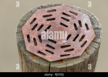 Nahaufnahme der Anfang einer prima mitweinander Umfrage mit der die verrosteten Metallgitter ontop Stockfoto