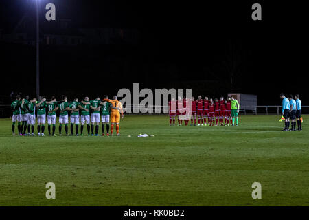 Llanelli, UK. 08 Feb, 2019. Llanelli Stadt host Aberystwyth Stadt Stebonheath Park in der Welsh Premier League. Quelle: Lewis Mitchell/Alamy leben Nachrichten Stockfoto