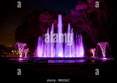 Musik Springbrunnen auf der Margareteninsel in Budapest Ungarn in der Nacht mit violetten Farben beleuchtet Stockfoto