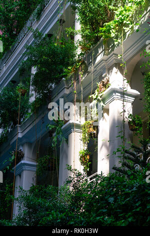 Hotel in Saigon bedeckt mit Pflanzen. Ho Chi Minh City. Stockfoto