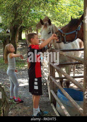 Jungen und Mädchen, Bruder und Schwester Streichelzoo mit Pferden an einem stabilen in Sussex County, New Jersey. Stockfoto