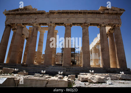 Akropolis Athen Parthenon Stockfoto