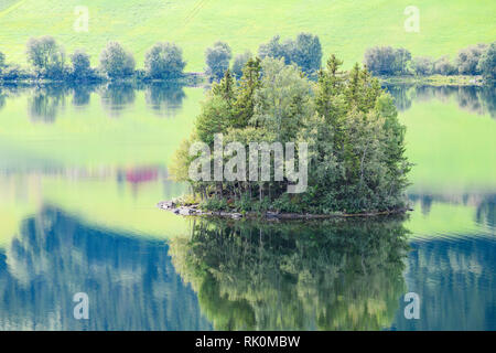 Bäume wachsen auf der Insel in der Mitte der Förde, Aurland, Norwegen, Europa Stockfoto