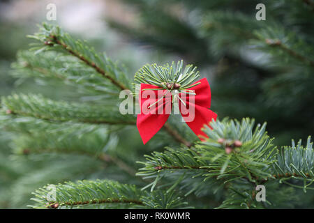 Weihnachtsbäume mit verschiedenen hellen Spielzeug eingerichtet Stockfoto