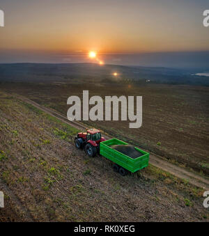 Luftaufnahme auf die Arbeit an dem großen Sonnenblumen Feld kombinieren Stockfoto