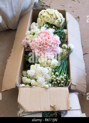 Vorbereitungen für Blumenarrangements - Blumen und Blätter in Kartons warten auf Hochzeit Dekorationen verwendet werden Stockfoto