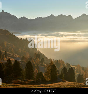 Blick über Alta Badia bei Sonnenaufgang von Passo Gardene, Dolomiten, Südtirol, Italien Stockfoto