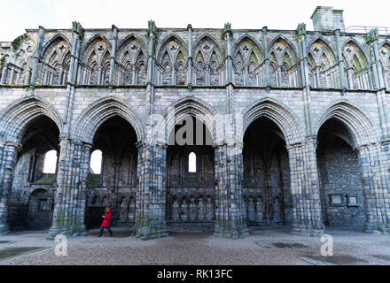 Detail der zerstörten Holyrood Abbey im Palast von Holyroodhouse in Edinburgh, Schottland, Großbritannien Stockfoto