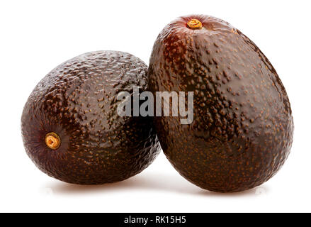 Hass avocado Pfad isoliert Stockfoto