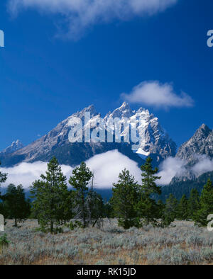 USA, Wyoming, Grand Teton National Park, der Morgendliche Nebel umhüllt die Kathedrale Gruppe der Teton Bergkette; Teewinot Berg (links), Grand Teton (Mitte). Stockfoto