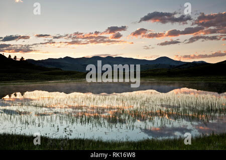 WY 03363-00 ... WYOMING - am frühen Morgen Sonnenlicht auf Wolken in einem kleinen Teich in der Nähe der Lamar River im Yellowstone National Park wider. Stockfoto