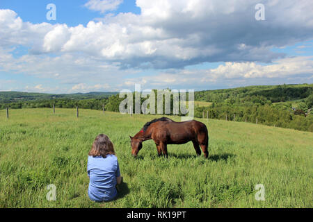 Letzter Tag für die geriatrische alte Quarter Horse Stute Stockfoto