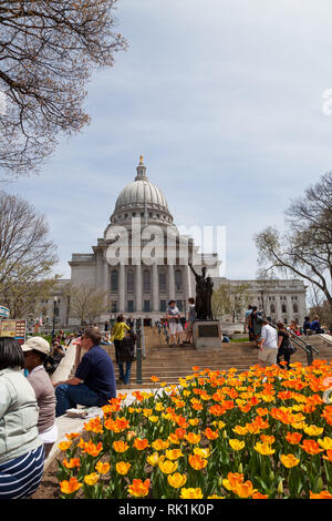 MADISON, WISCONSIN - 10. Mai 2014: Der westliche Eingang in die Hauptstadt Gebäude mit Menschen und Tulpen in Madison, WI am 10. Mai 2014. Stockfoto