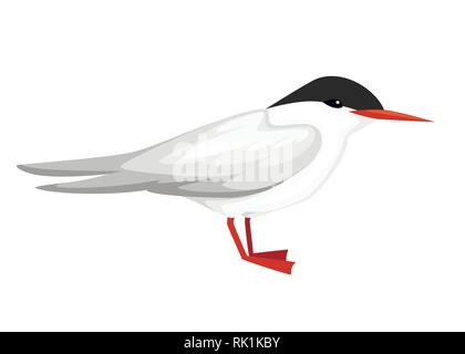 Flying weißen Vogel. Küstenseeschwalbe. Sterna hirundo. Arktische Tier, Cartoon flache Bauform. Vector Illustration auf weißem Hintergrund. Stock Vektor