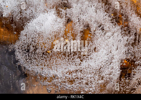 Blätter und kleine Luftblasen in gefrorenem Wasser gefangen. Stockfoto