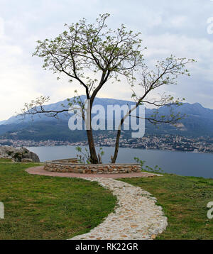 Eine allein Baum und Weg in der Nähe von Meer Stockfoto