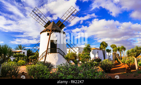 Traditionelle Windmühle in Antigua Village, Insel Fuerteventura, Spanien Stockfoto