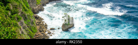 Ein Baum auf einen gefallenen Kalkstein Felsen im Meer am Fuß der Klippen Uluwatu Bali Indonesien wächst. Stockfoto