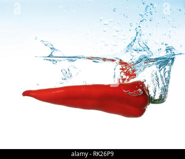 Red Pepper ging im Wasser auf weißem Hintergrund Stockfoto