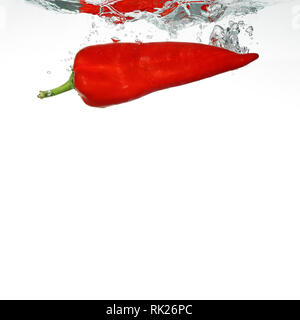 Red Pepper ging im Wasser auf weißem Hintergrund Stockfoto