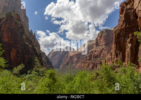 Ansicht von unten Weeping Rock (mit Wasser fallenlassen - siehe Hinweise), Zion National Park, Springdale, Utah, United States. Stockfoto