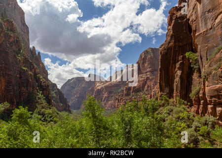 Ansicht von unten Weeping Rock (mit Wasser fallenlassen - siehe Hinweise), Zion National Park, Springdale, Utah, United States. Stockfoto