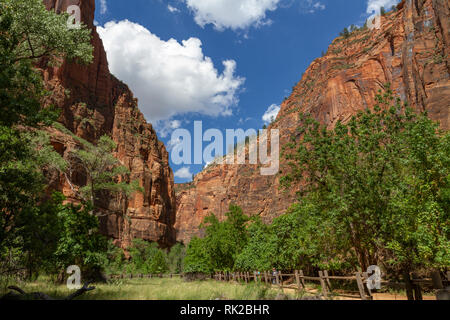 Blick entlang des Virgin River neben Riverside Walk, Zion National Park, Springdale, Utah, United States. Stockfoto