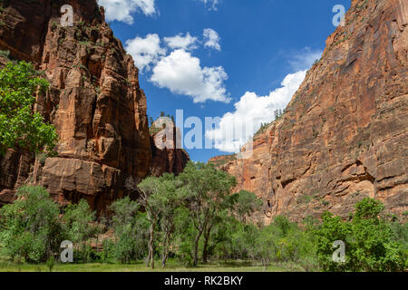 Blick entlang des Virgin River neben Riverside Walk, Zion National Park, Springdale, Utah, United States. Stockfoto