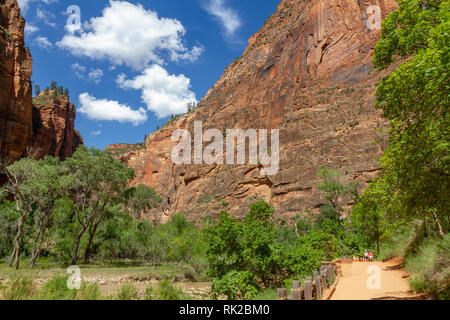 Blick entlang des Virgin River neben Riverside Walk, Zion National Park, Springdale, Utah, United States. Stockfoto