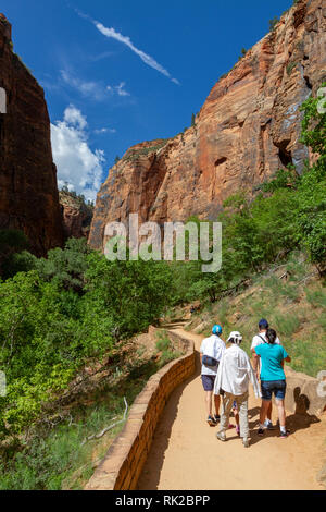 Blick entlang des Virgin River neben Riverside Walk, Zion National Park, Springdale, Utah, United States. Stockfoto