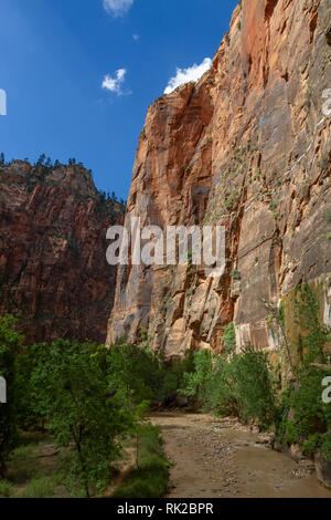 Blick entlang des Virgin River neben Riverside Walk, Zion National Park, Springdale, Utah, United States. Stockfoto