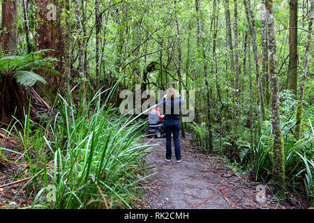 Besuchen sie Australien. Laub, Wälder und Wege in einige von Australiens Regenwälder Stockfoto