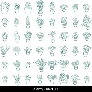 Der gezeichnete Linie sukkulente Pflanze isoliert auf weißem Hintergrund und. Vector Illustration Stock Vektor