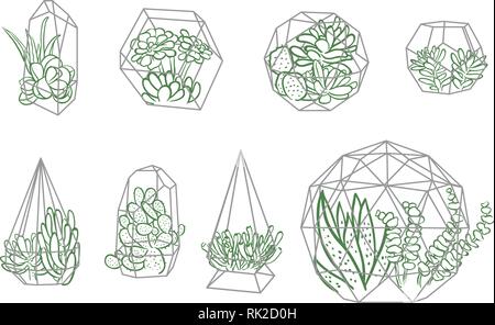 Satz von einfachen geometrischen Terrarien mit Pflanzen. Geometrische Terrarien mit Sukkulenten und Kakteen. Stock Vektor