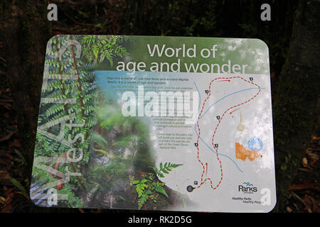 Besuchen sie Australien. Laub, Wälder und Wege in einige von Australiens Regenwälder. Boardwalk in Maits Rest rainforest in der otways Stockfoto