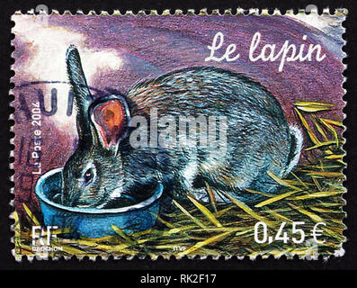 Frankreich - ca. 2004: einen Stempel in Frankreich gedruckt zeigt Kaninchen, Nutztiere, ca. 2004 Stockfoto