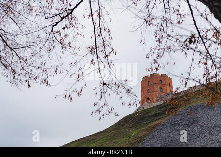 Schloss Gediminas Turm, Seitenansicht, Vilnius, Litauen Stockfoto