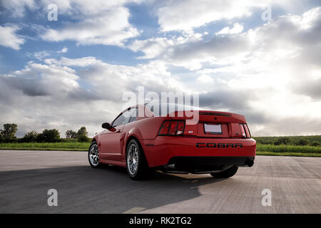 2003 Ford Mustang Cobra Stockfoto