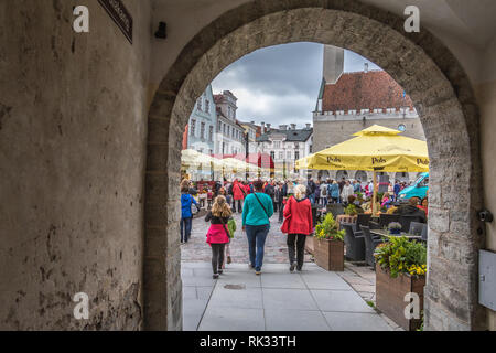 Es gibt viel in der Altstadt von Tallinn zu erkunden. Es ist reich an mittelalterlichen und der Geschichte der Hanse und ist ein UNESCO Welterbe. Stockfoto