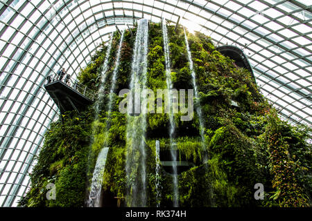 Cloud Forest, Gärten an der Bucht, Singapur Stockfoto