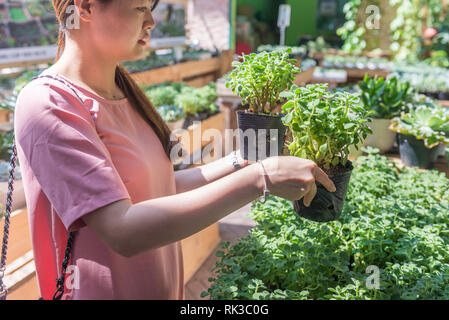 Junge Frau, zwei Blumentöpfe in den grünen Garten Stockfoto