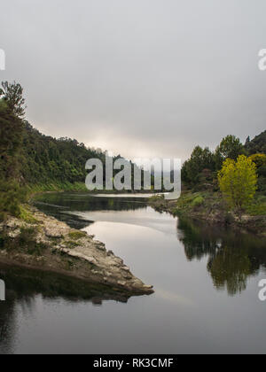 Zusammenfluss von Ahuahu Stream mit Whanganui River, native Wald Bush clad Hills, ruhig noch Herbstmorgen, Te Tuhi Landung, North Island, Neuseeland Stockfoto