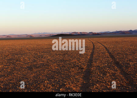 Sonnenuntergang auf dem roten Namib Wüste mit Sand weg und Büsche im südlichen Namibia, Afrika Stockfoto