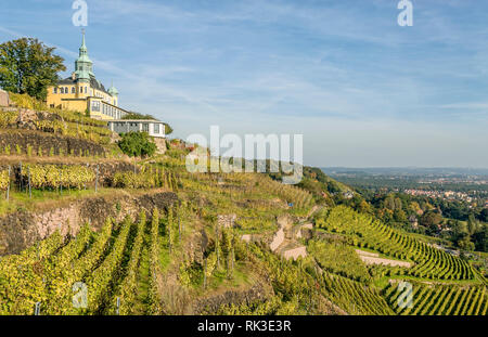 Weinberge in Radebeul im Herbst, Elbtal, Sachsen, Deutschland, mit dem 1622 erbauten Spitzhaus Stockfoto