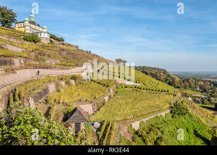 Weinberge in Radebeul im Herbst, Elbtal, Sachsen, Deutschland, mit dem 1622 erbauten Spitzhaus Stockfoto