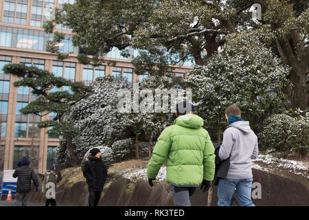 Tokio, Japan. 9 Feb, 2019. Bäume sind durch Schnee in Tokio, Japan, Feb 9, 2019 abgedeckt. Credit: Du Xiaoyi/Xinhua/Alamy leben Nachrichten Stockfoto