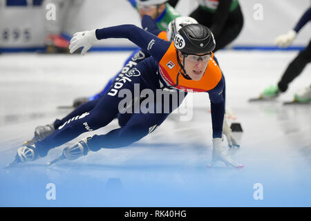 Torino, Italien. 9. Februar, 2019. ISU World Cup Short Track Speed am Tazzoli Eisbahn Torino statt Skaten. Im Bild EMONS Friso NED Senior M Konkurrent. Damiano Benedetto/Alamy leben Nachrichten Stockfoto